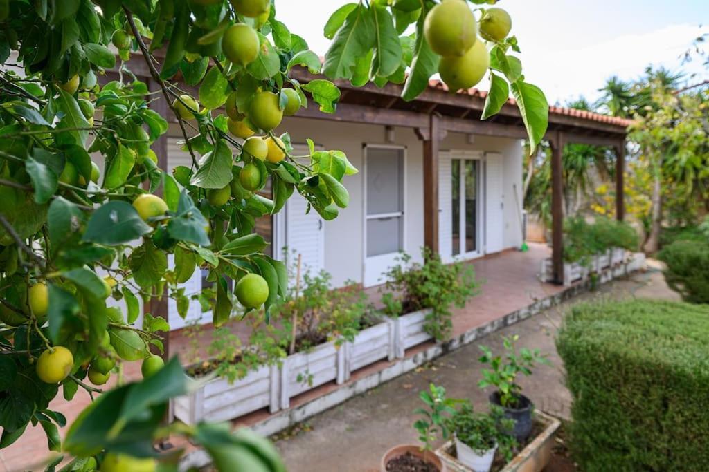 Farmbill Βίλα Μαρκόπουλο Εξωτερικό φωτογραφία